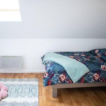 Duplex Tout Equipe, Proche Centre-Ville Colmar, Parking ภายนอก รูปภาพ