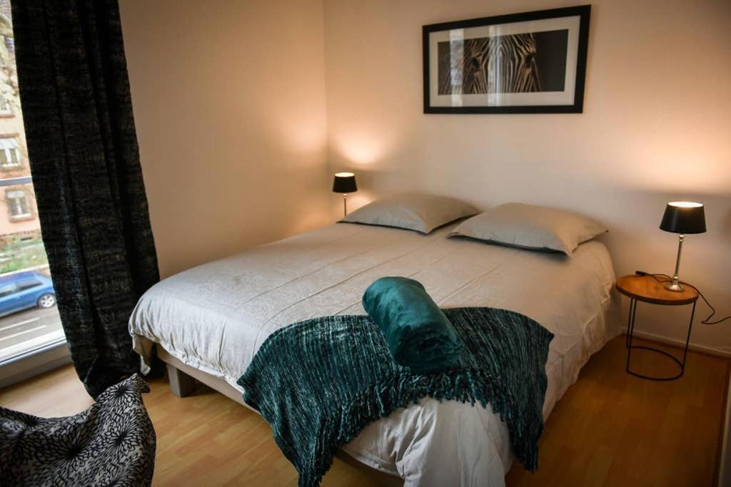 Duplex Tout Equipe, Proche Centre-Ville Colmar, Parking ภายนอก รูปภาพ